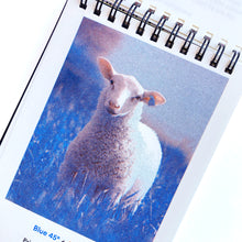 Ladda upp bild till gallerivisning, Riso colour guide