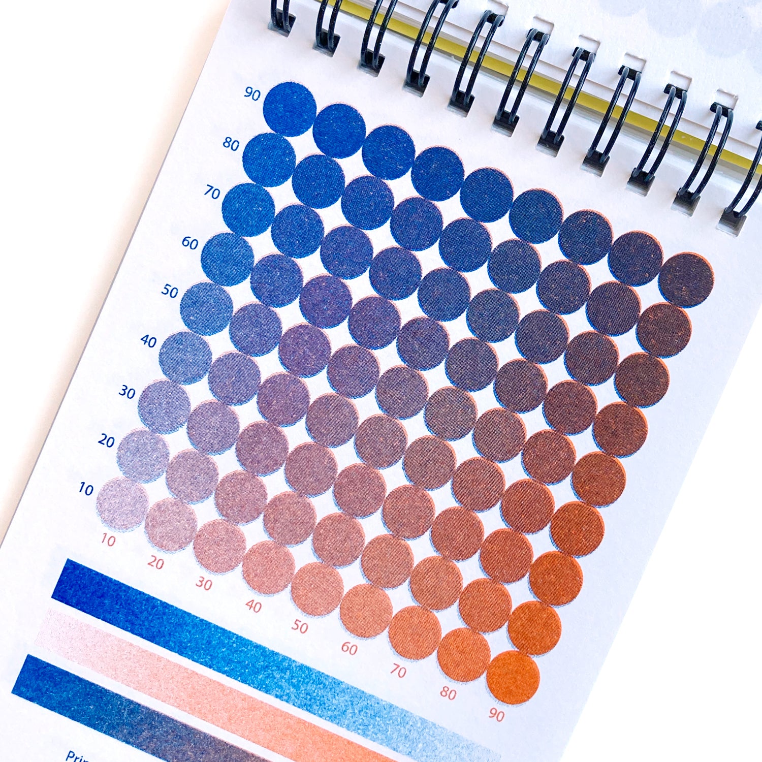 What Color Does Riso Riso colour guide – RisooPrint